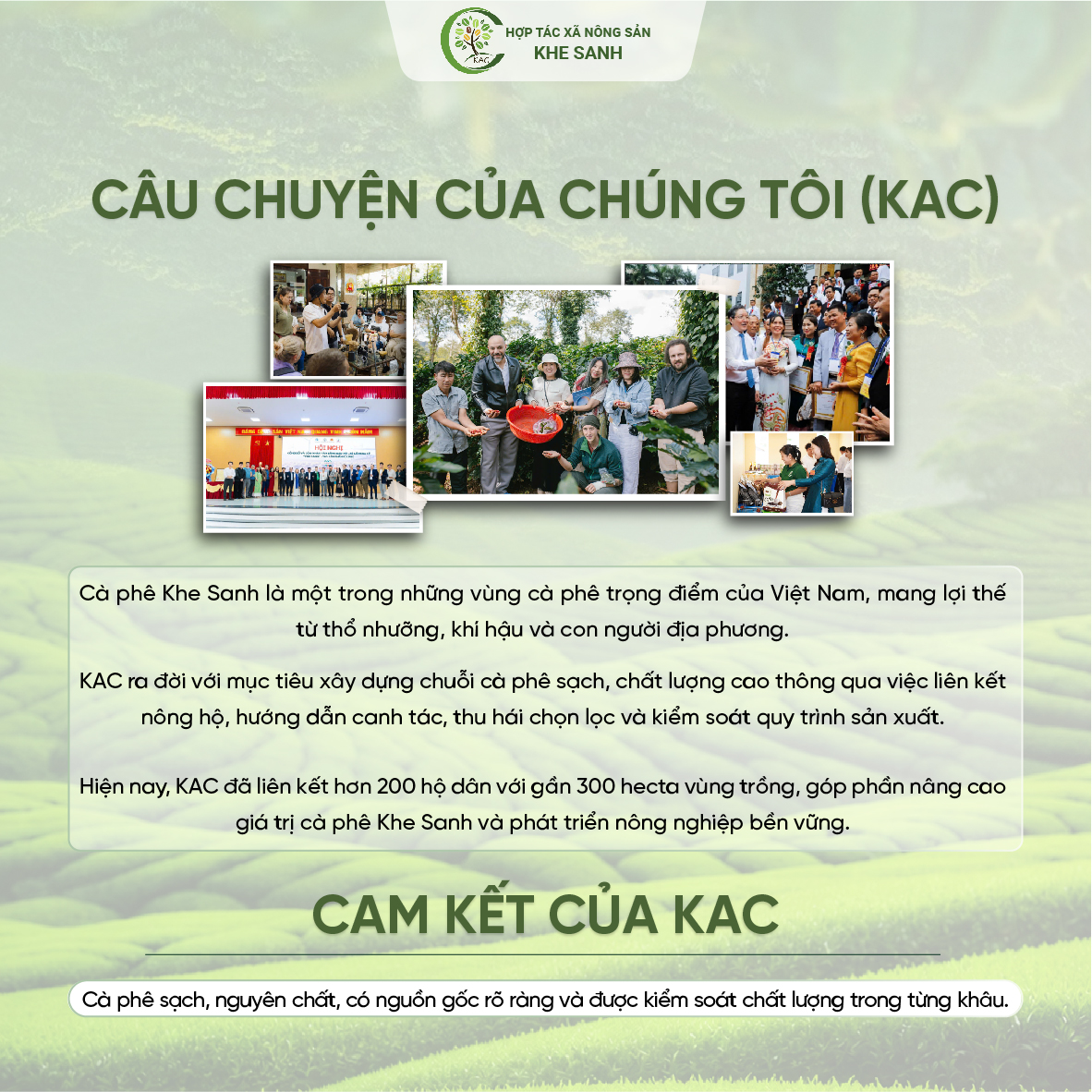 câu chuyện