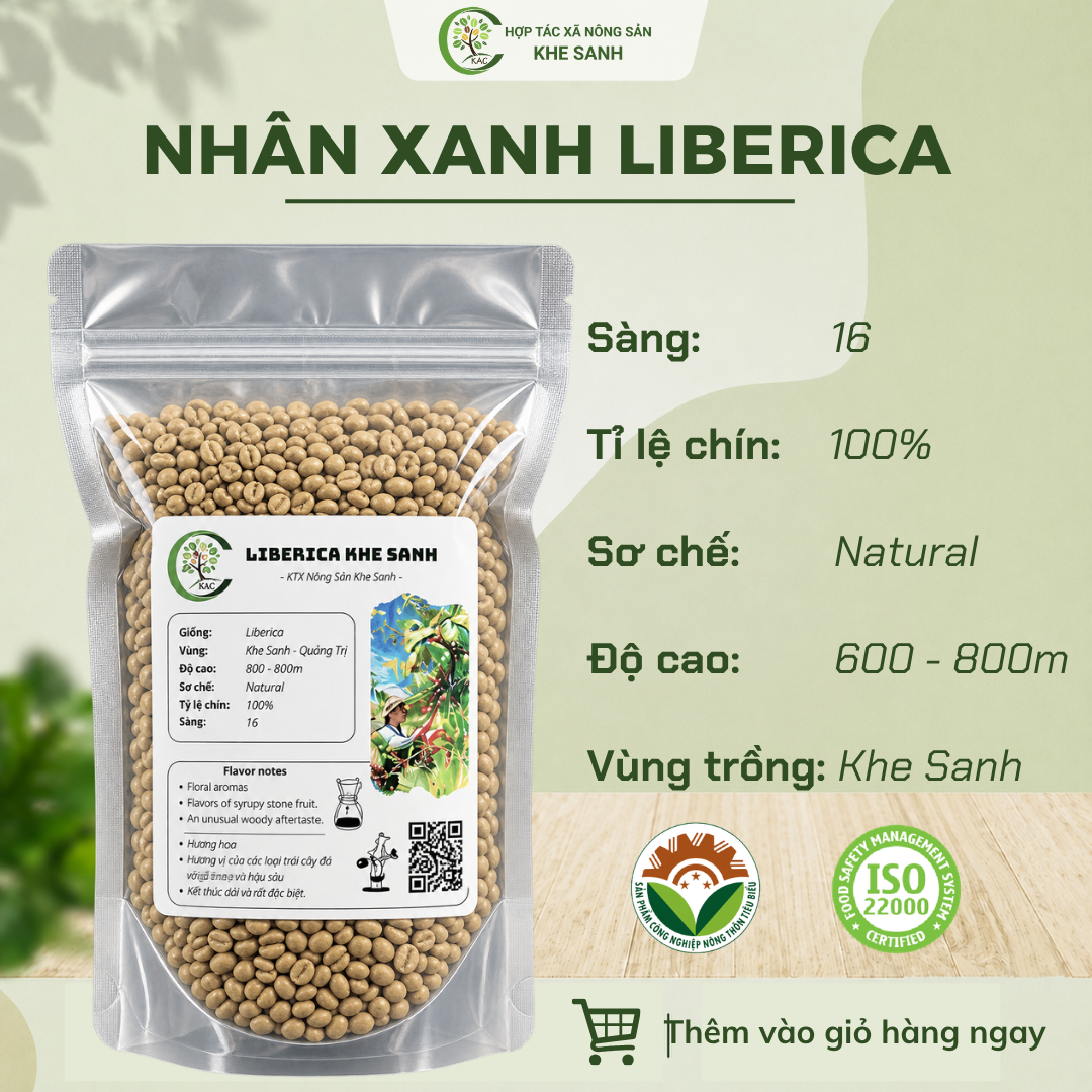 liberica nhân xanh KAC (1)