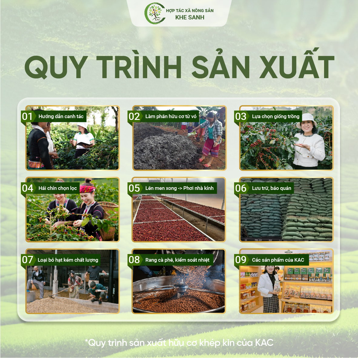 quy trình